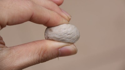 做肉丸用什么可以代替高彈素達到增彈增脆的效果？