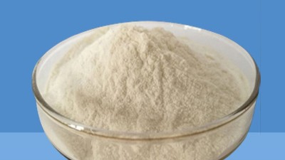 牡蠣肽酶解工藝——開啟海洋營養新篇章