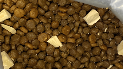 風味蛋白酶在寵物誘食生產中的應用