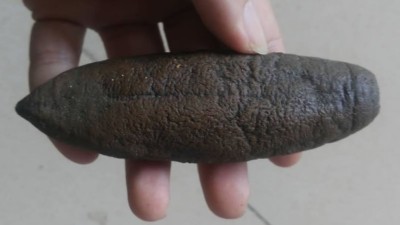 海參外皮怎么處理干凈，使用木瓜蛋白酶還是復合酶呢