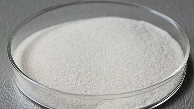 淺淡木瓜蛋白酶在啤酒酵母水解生產中的應用