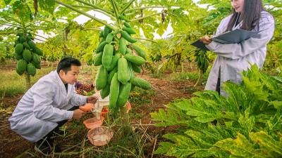 酶制劑公司排名：哪個廠家在食品、飼料、工業領域拔得頭籌