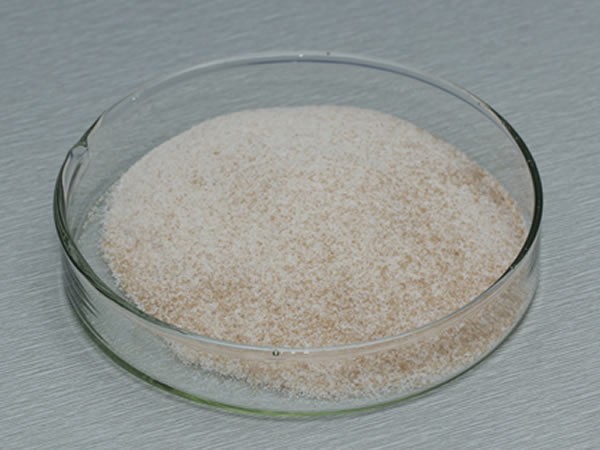 風味酶（氨肽酶，復(fù)合風味蛋白酶）Flavourzyme