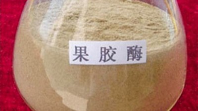 果膠酶的作用原理，正確使用方法與用量