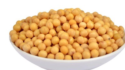 生產大豆活性肽用哪種酶制劑？