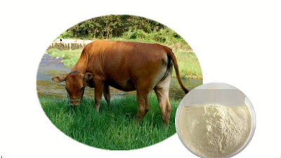 酶解豬牛皮制備膠原蛋白肽，為什么日本產(chǎn)品的價(jià)格比國內(nèi)的貴1倍？