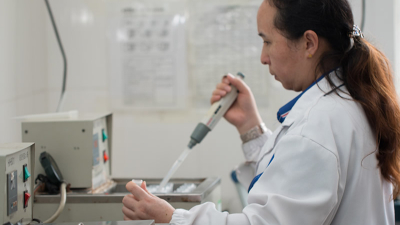 木瓜蛋白酶酶活力測定檢測方法，干貨分享！