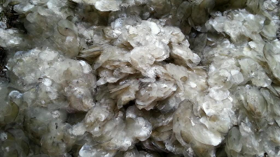 堿性蛋白酶酶解魚鱗制備膠原蛋白多肽，成品有沉淀？