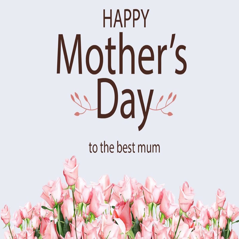 母親節快樂