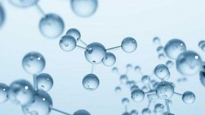 小分子魚皮膠原蛋白肽酶解，使用木瓜蛋白酶，還是堿性蛋白酶？