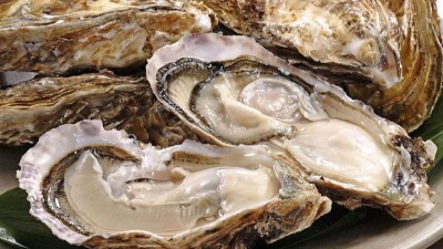 海產品復合酶制劑助力牡蠣肽加工提取