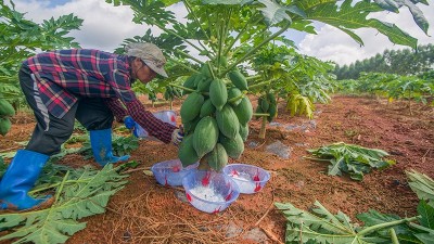 2025生物酶制劑行業(yè)發(fā)展趨勢(shì)