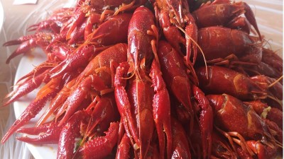 做酶好事業，享酶好生活，品酶力美食