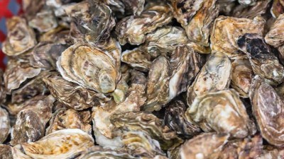 牡蠣酶解生產牡蠣肽口服液工藝