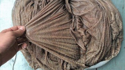 鹽漬毛肚及鮮毛肚怎么處理才脆？