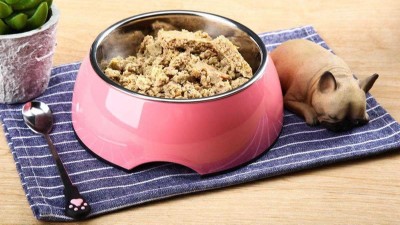 牛肉蛋白質(zhì)酶解制備寵物誘食劑，如何選酶？