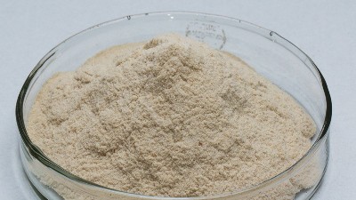 中性蛋白酶的作用和用途