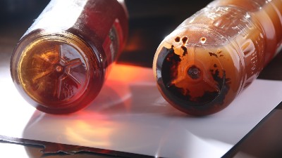 酒曲與酶制劑有什么區別？兩個可以同時使用嗎？