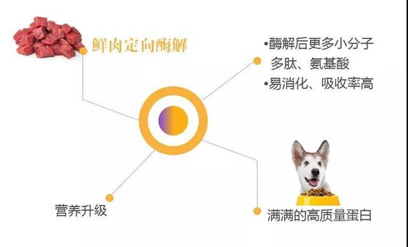 鮮肉酶解技術在寵物誘食劑中的應用