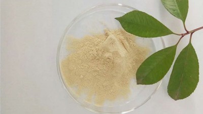 淺談蛋白胨的不同分類及酶制劑的應用