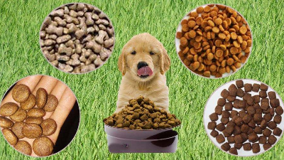 雞肝粉酶解寵物誘食劑，增加寵物食品適口性！