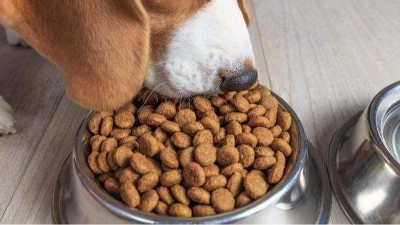 寵物誘食劑（雞肝酶解）酶解工藝流程大全圖解