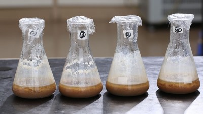 水解雞肝生產寵物風味劑，用木瓜蛋白酶還是堿性蛋白酶