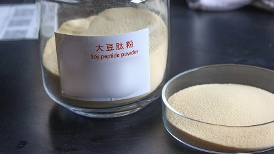 堿性蛋白酶在大豆肽規模化生產中的應用