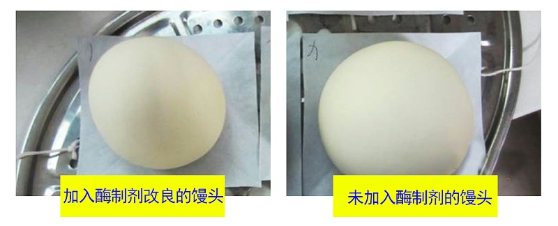 c9db26287c024daaa0b627dfbc066854_7