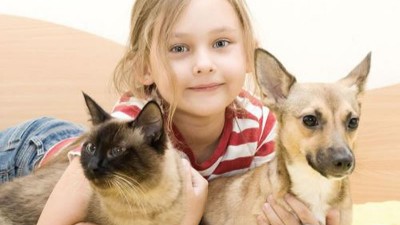 貓犬風味劑生產選擇復合酶，還是單體酶制劑？