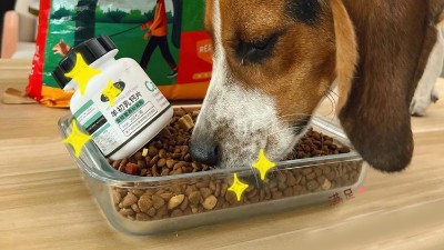 一文詳解寵物誘食劑有哪些種類？