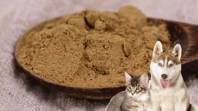 如何酶解雞肝粉生產(chǎn)熱反應型寵物誘食劑？