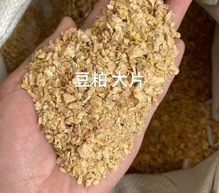 豆粕蛋白飼料