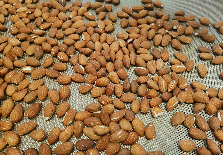 酶制劑處理杏仁堅果