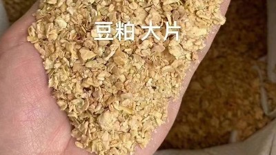 蛋白飼料加工新突破！木瓜蛋白酶的4大優勢解析