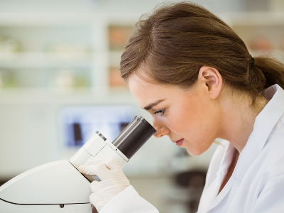 酶解應用服務,交鑰匙工程服務,產品研發服務