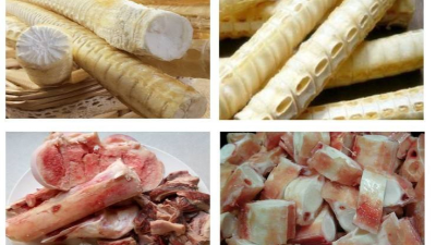 硫酸軟骨素是從哪里提取出來的？