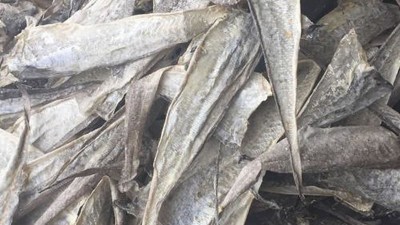 水解魚皮做膠原蛋白肽有苦味，風味酶能去除苦味嗎？