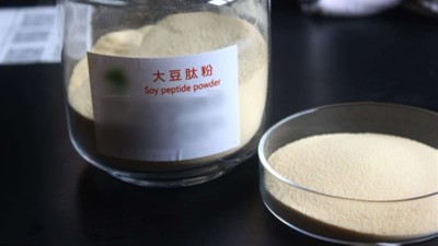 生產大豆低聚肽與多肽會用到哪些酶制劑？