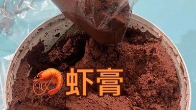 不分層流動性好——堿性蛋白酶在蝦膏水產誘劑的卓越表現