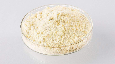 東恒華道酶制劑，助力健康產業發展