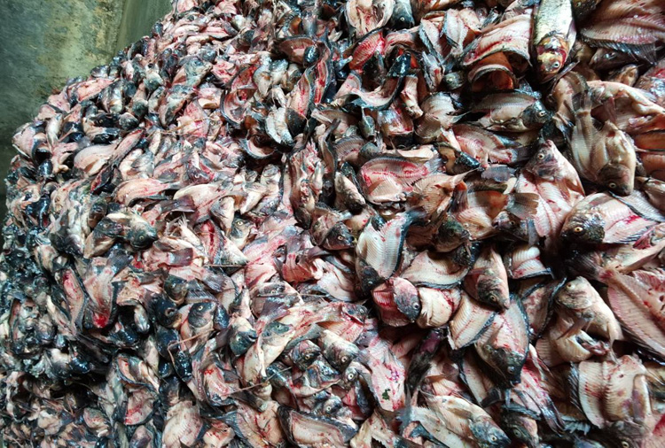 fdbecef1ebd2f0edea50e86953eaa203