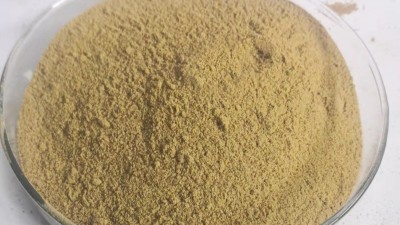 堿性蛋白酶如何酶解魚粉生產水產誘食劑？