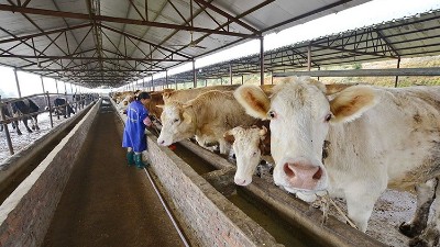 一文搞懂，飼料用蛋白酶有幾種？
