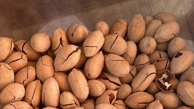 深度拆解：酶制劑如何改善堅果口感？