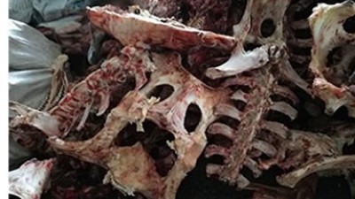 牛骨、豬骨蛋白胨生產，適合的酶制劑有哪些呢？