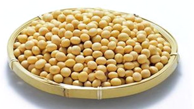 復合酶制劑助力大豆肽苦味弱化品質升級